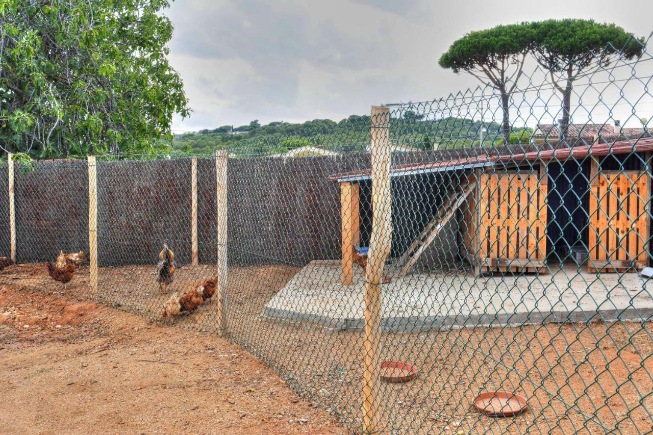 Masia Cal Ros S'Agaro Exterior photo